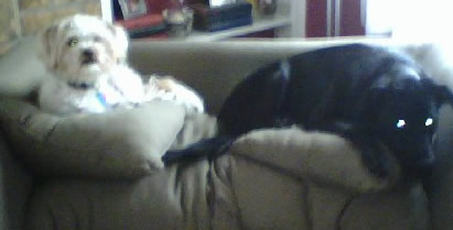 Rocky and Penny