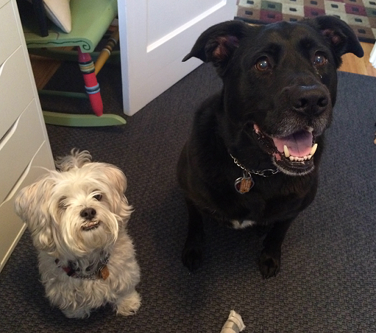 Rocky and Penny